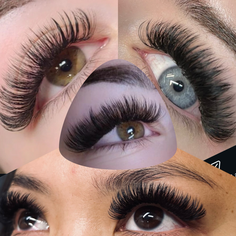 Signature Lash Offer at Twisted Lash in Reno, NV