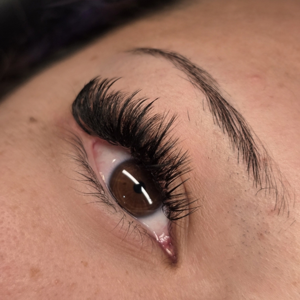 Volume Lash Extensions at Fawn Esthetics in Richmond, IN