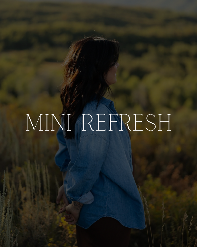 Mini Refresh