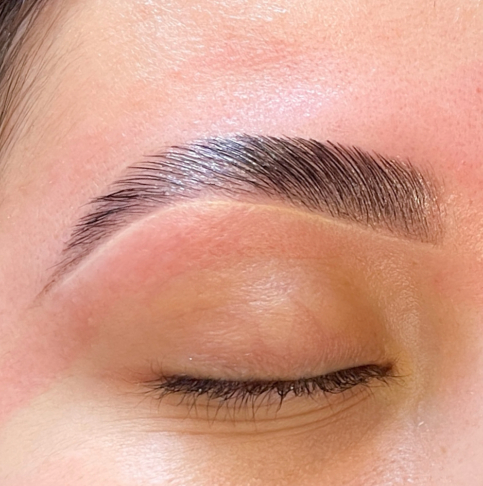 The Complete Brow ✨🪩
