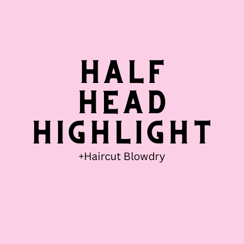 Half Head Highlight+Cut & Blowdry