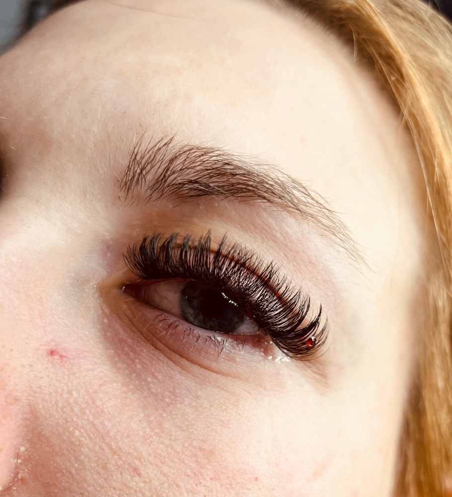 Lash Fill Weekly
