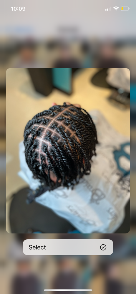 Two Strand Twists (Small)