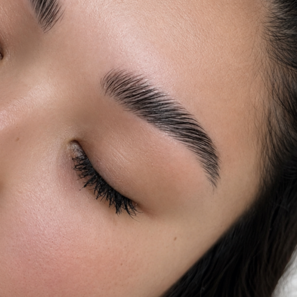 Brow Lamination + Wax at Rose Gold Lash in Centerline, MI