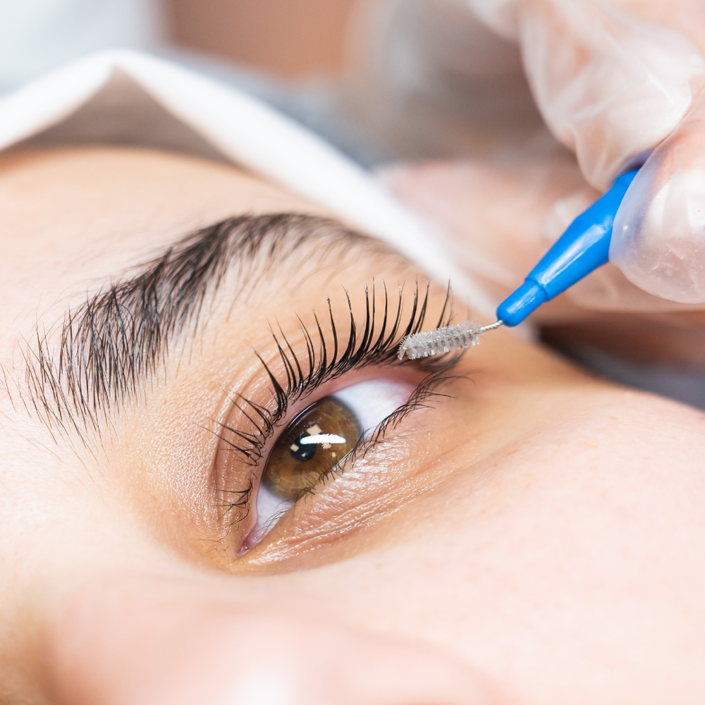 Lash Lift (no tint)