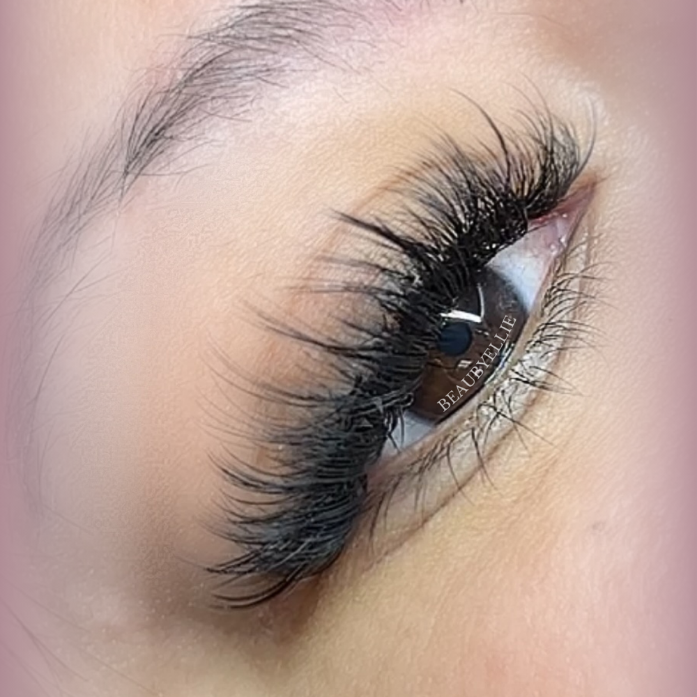 Lash Extensions FS (Hybrid/Volume )