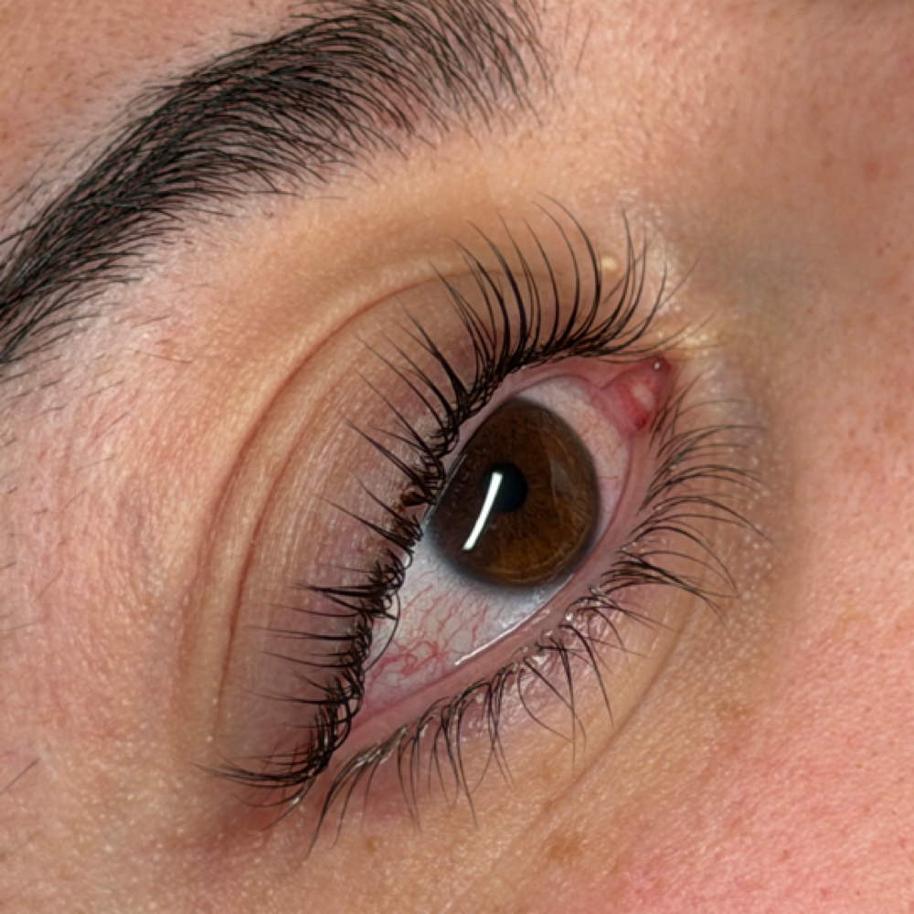 Korean Lash Lift at PurexBeautyPdx in Portland, OR