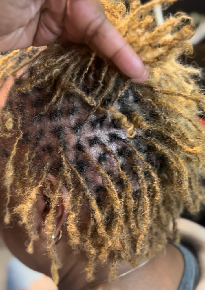 Micro-locs Medium