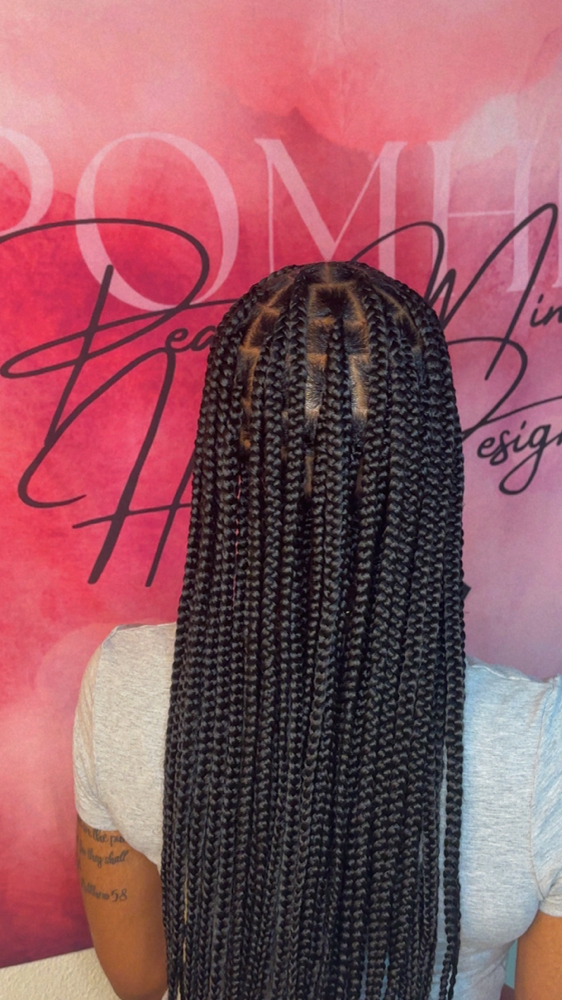 Medium Knotless Box Braids