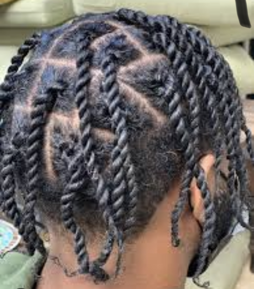 Two Strand Twist