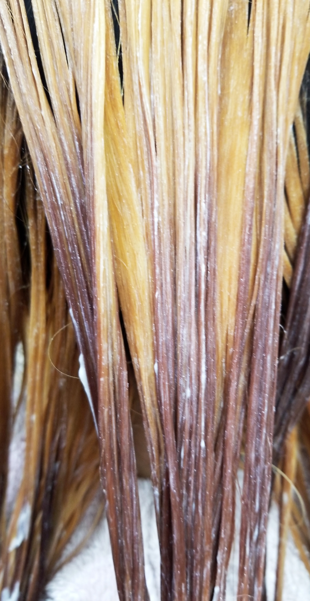 Color Correction/Corrective Blonde
