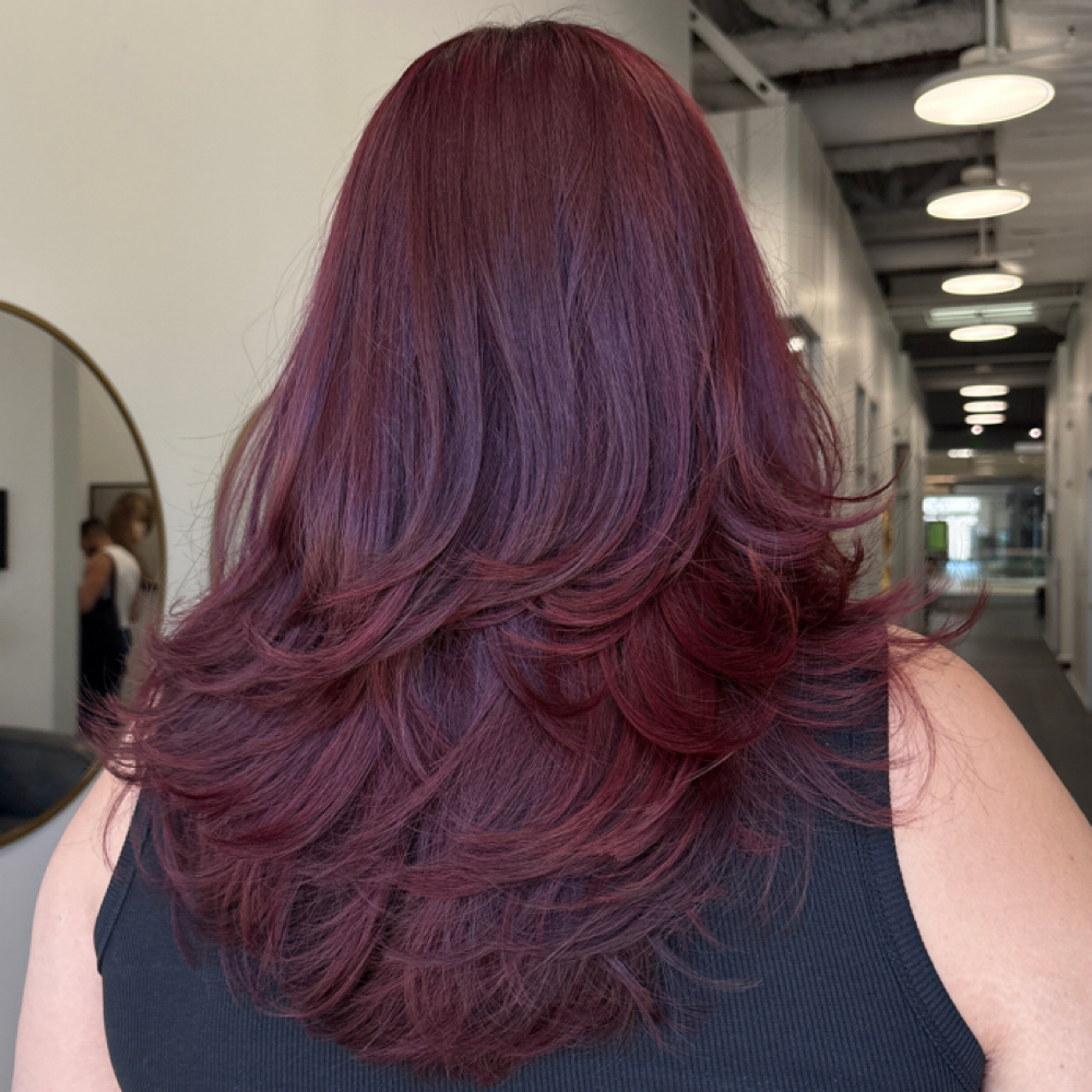 1.5 Hour Color Touch Up at spookycrystals in Encino, CA