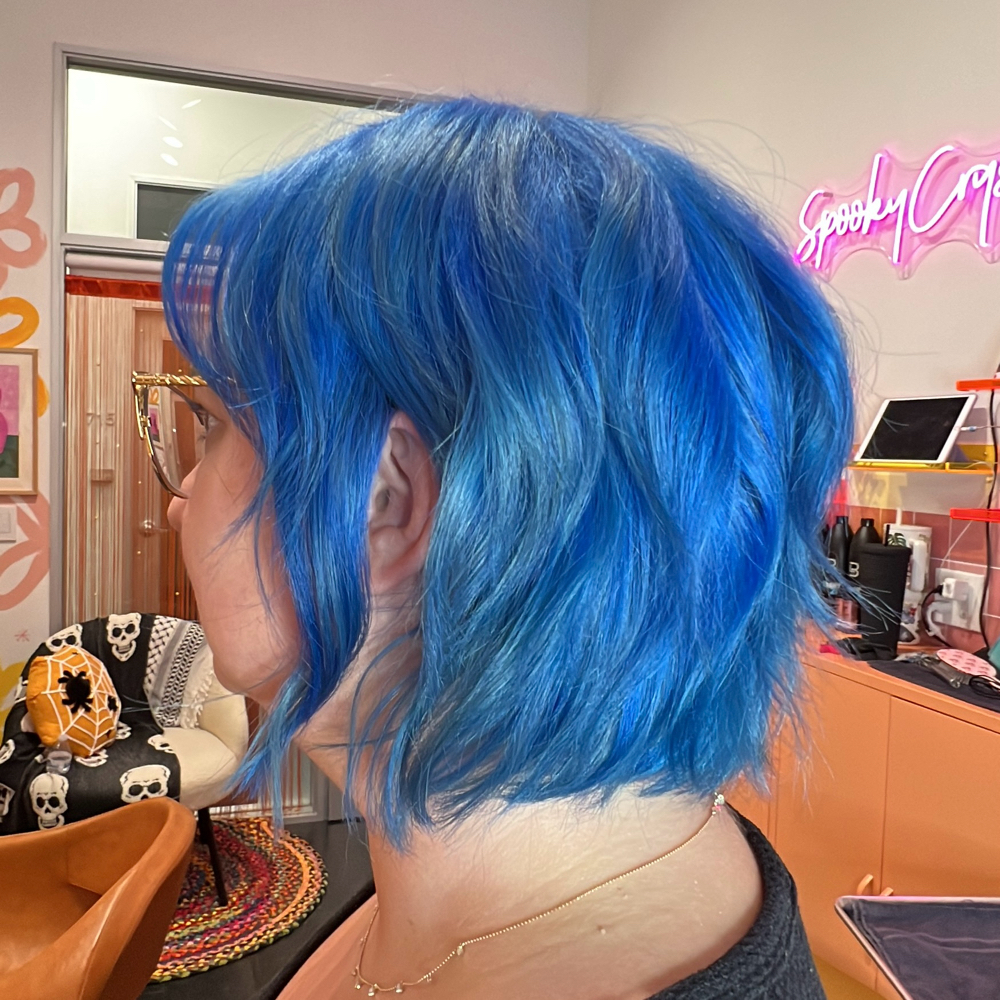 1.5 Hour Color Touch Up
