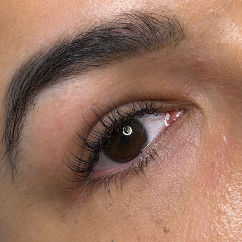 Divine Elevé at My Divine Lashes & Beauty in Crest Hill, IL