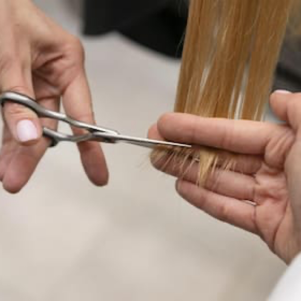 Woman's Dry Haircut at Salon Ado in Kansas City, MO