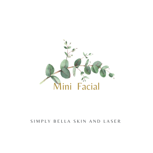 30 Min Express Facial