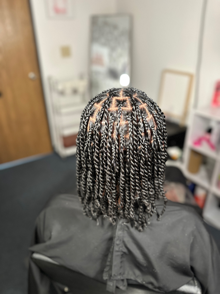 Two Strand Twist