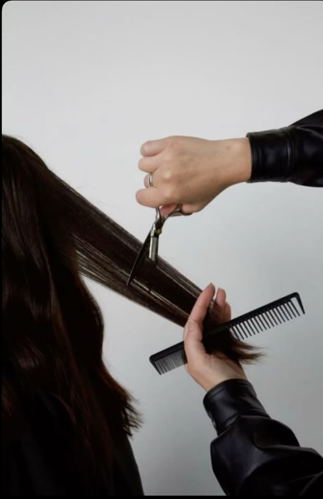 The Haircut at Haley.thehair.chic in clayton, MO