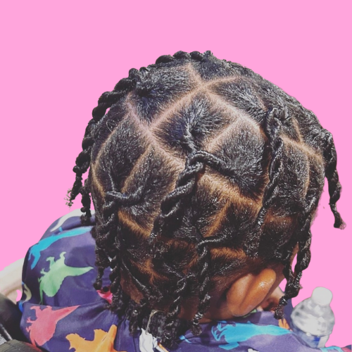 Starter Locs