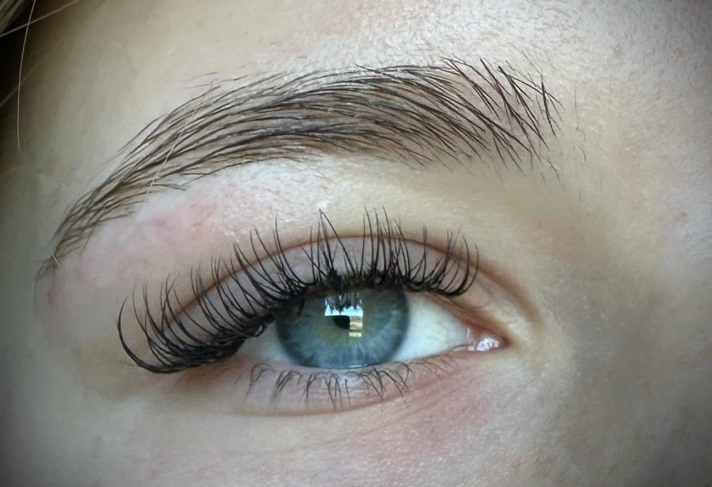 Classic 2-3 Week Fill