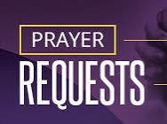 Request Prayer šš¾