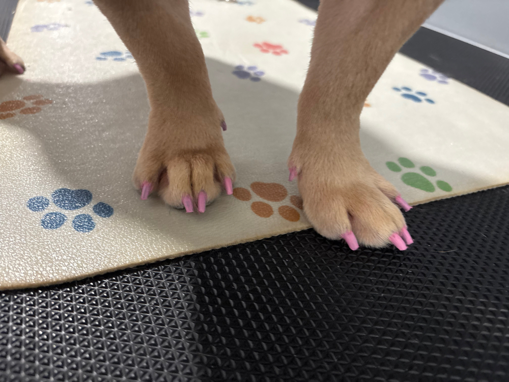 Nail Polish