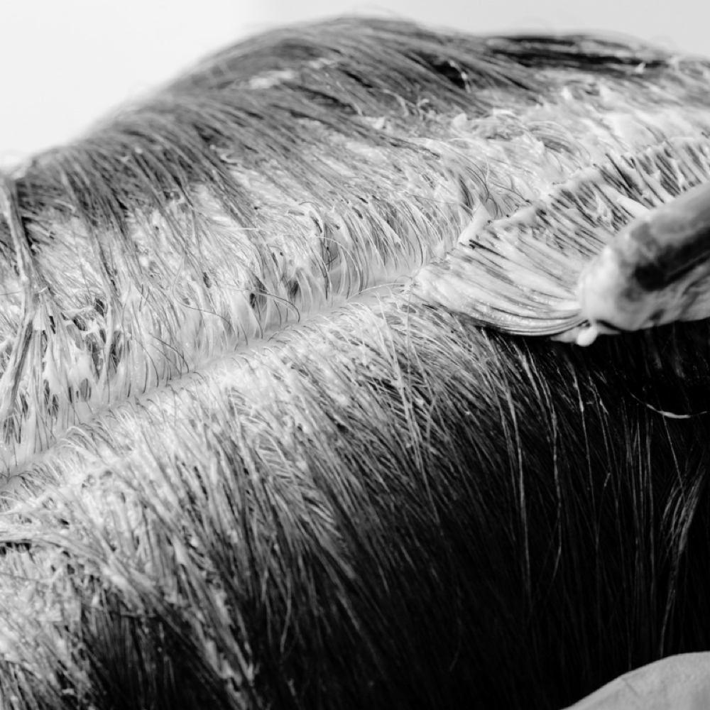 Single Root Touch Up/ Haircut at Gabriela Kim Beauty in North Bethesda, MD