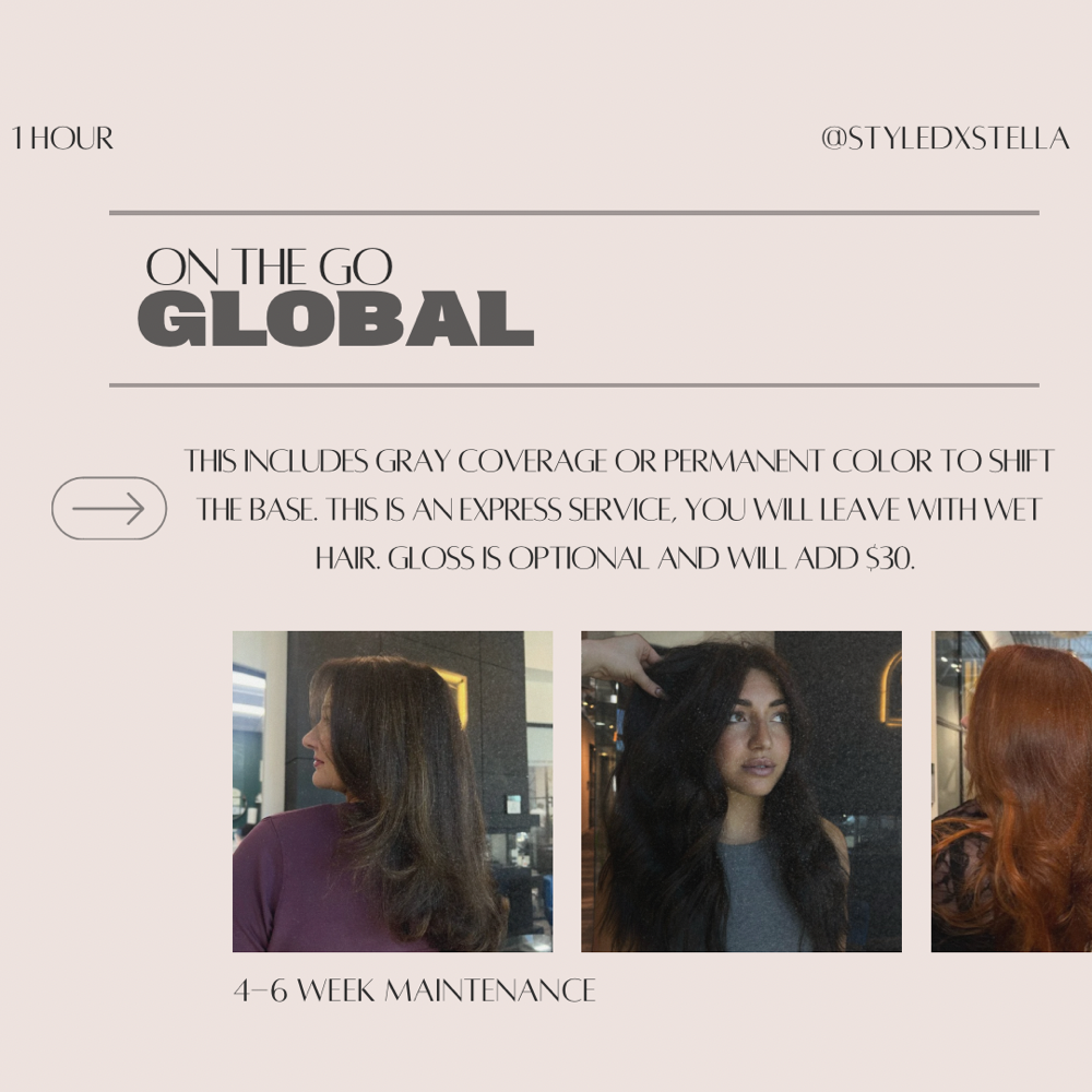 ON THE GO GLOBAL