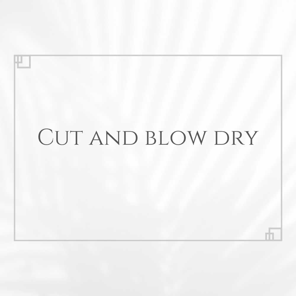 Cut and blow dry