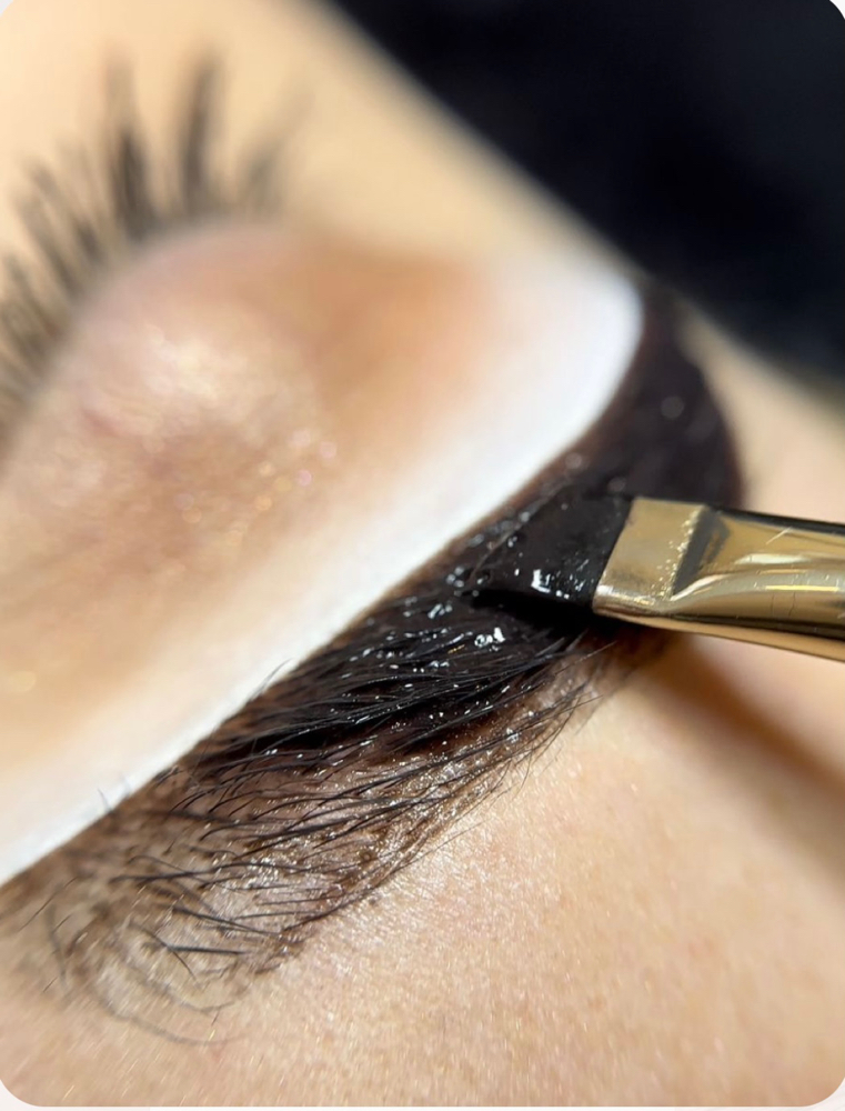 Eyebrow Wax & Tint