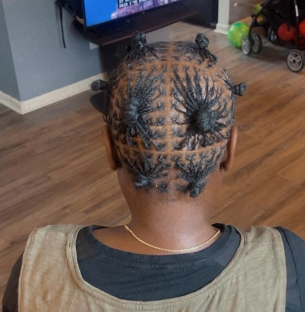 Micro Locs/twists
