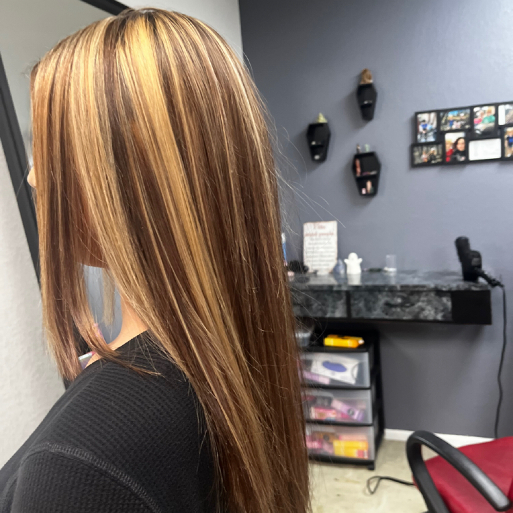 Particle highlights at Cosmo Cat in Colorado Springs, CO