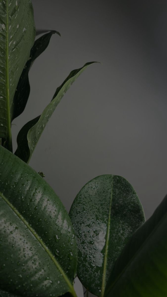 HYBRID FILL