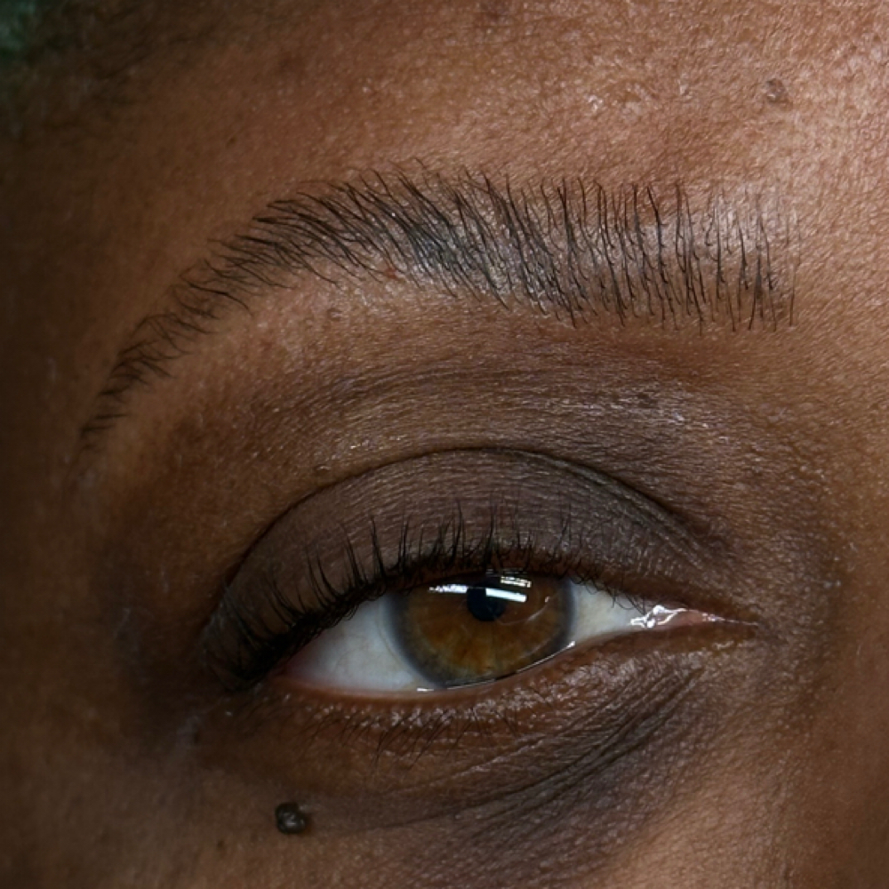 Brow Lamination at Beauty X Janessa in Austintown, OH
