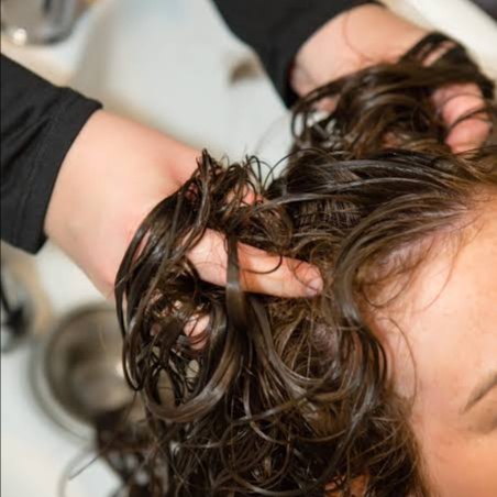 Hair and Scalp Treatment at The Hair Ninja Studio in Arvada, CO