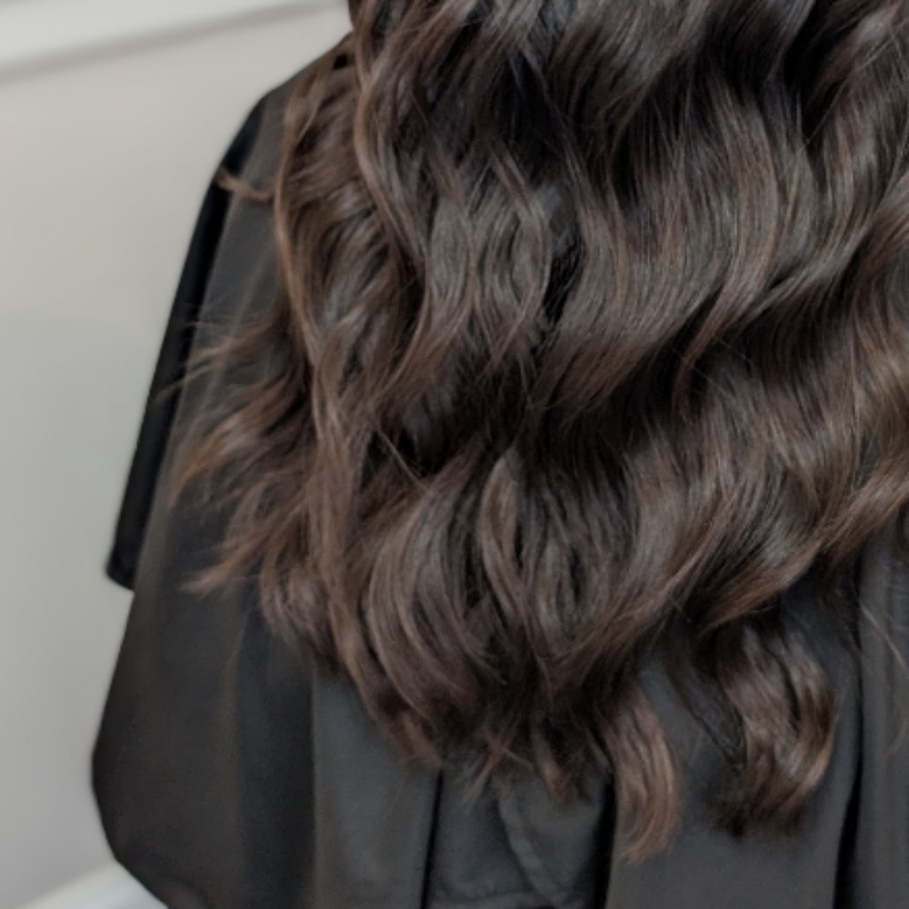 • Root Revival + Highlight • at Em's Hair Design in Grafton, WI