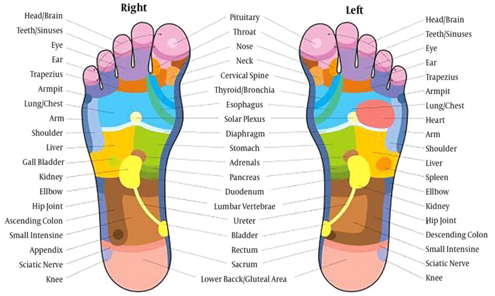 Reflexology 30w/Brittany