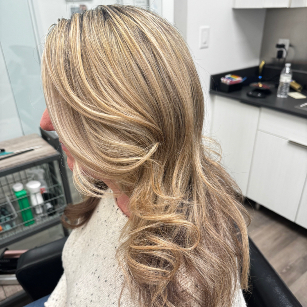 Partial Highlight Package at Positive Image By Dana in Feasterville, PA