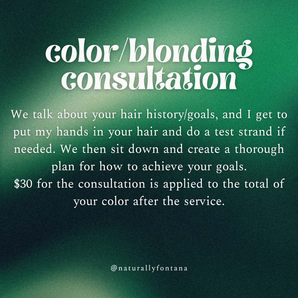 Color/Blonding Consultation