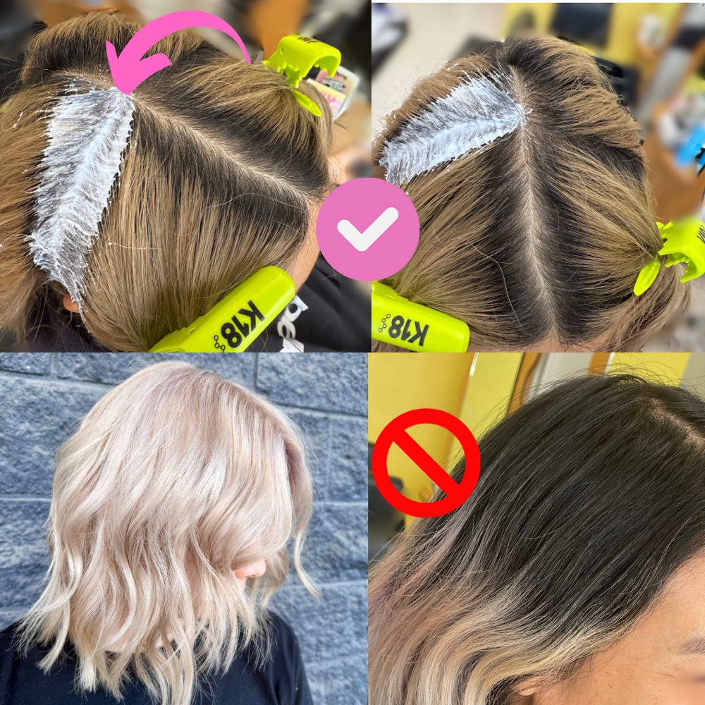 Bleach Touch-Up (4–8 Weeks) -NO CUT