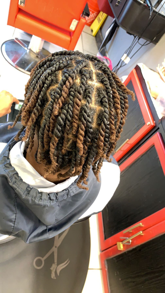 Two Strand Twist