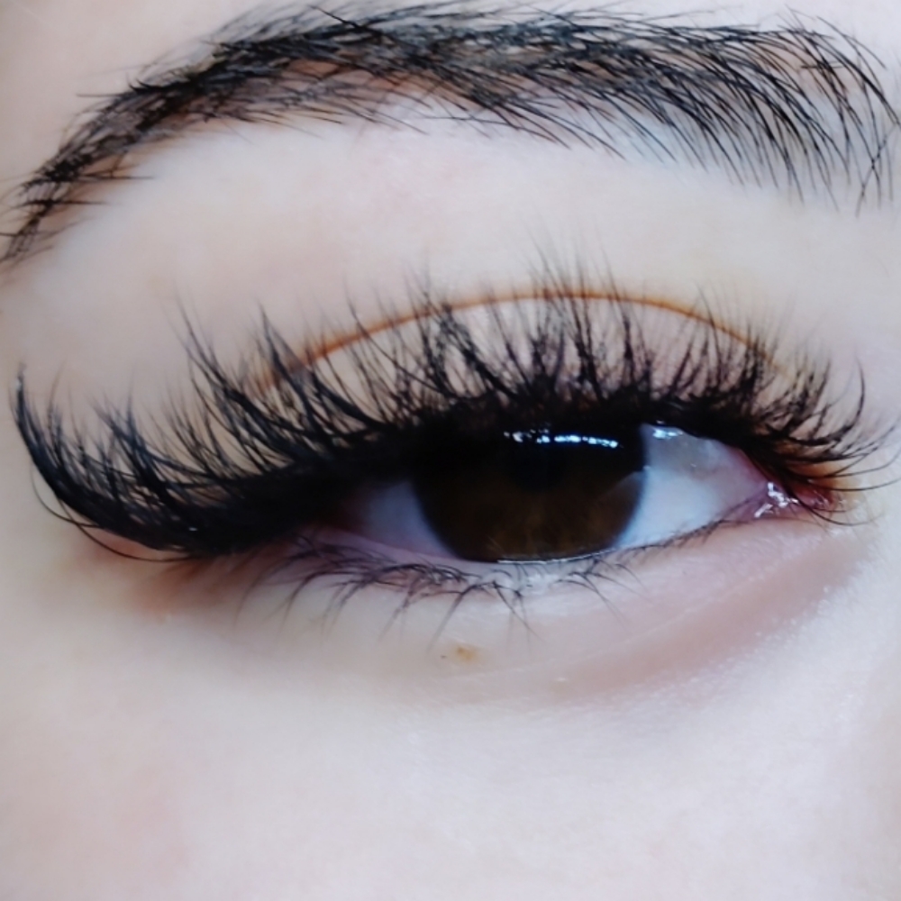 Volume 2-Week Fill at Noemi's Beauty Room LLC in Avondale, AZ