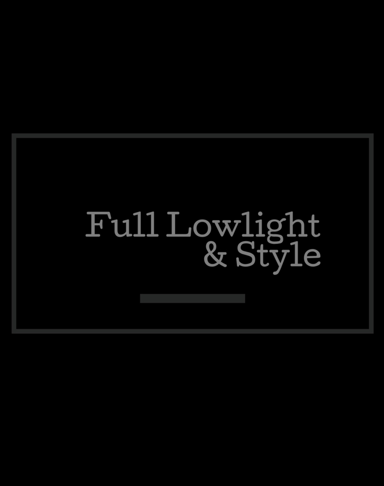 Full Lowlights/ Style