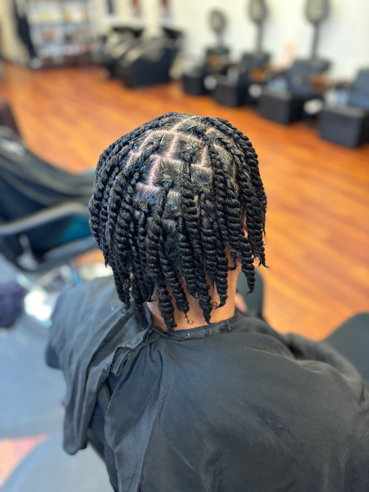 Two Strand Twist at Touches Of The South in Surprise, AZ