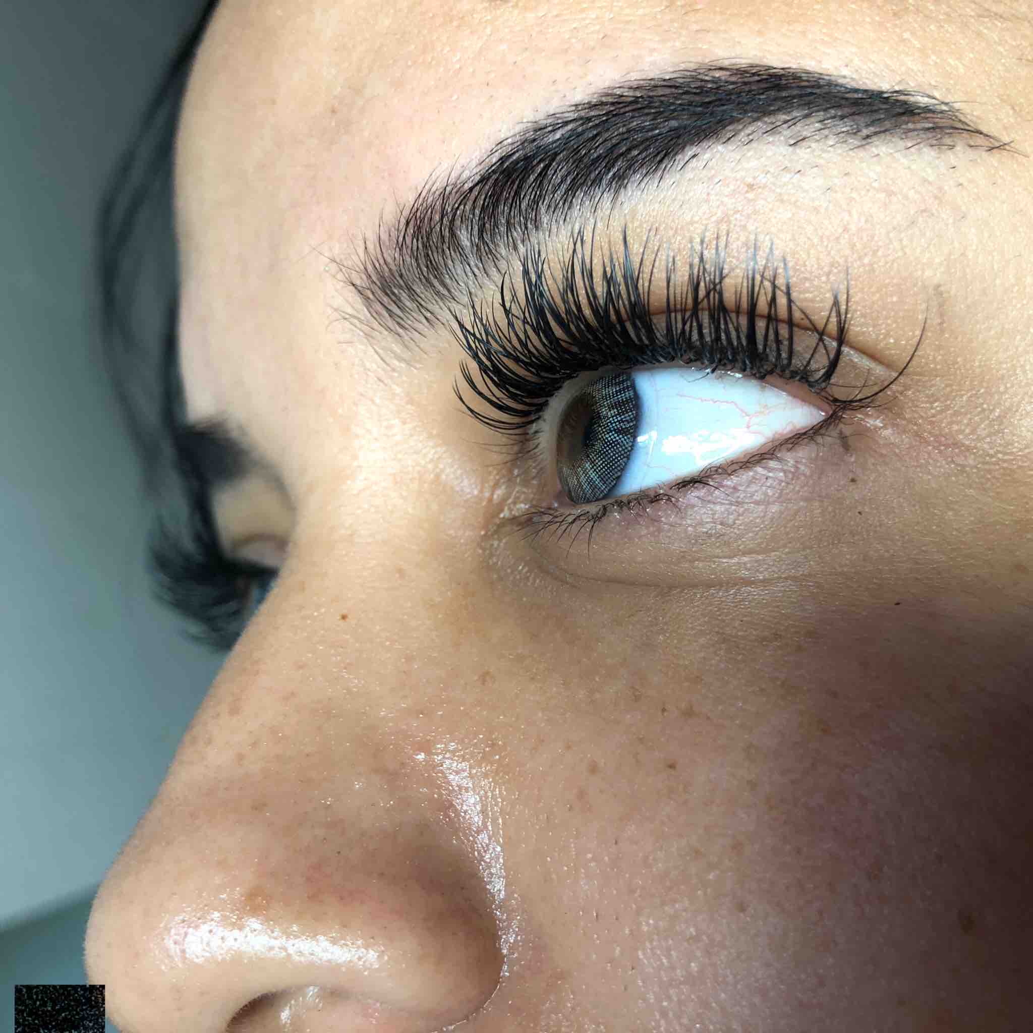 2wk Royal Classic refill