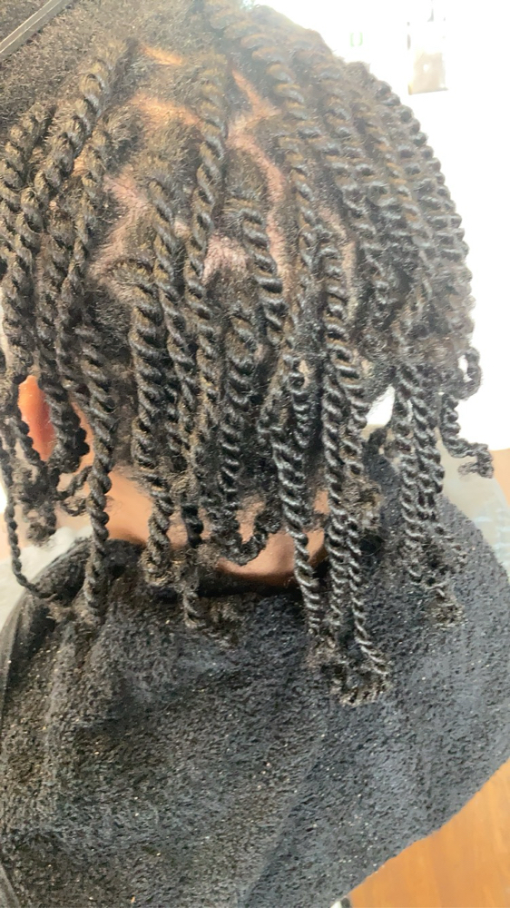 Two Strand Twist No Shampoo NH