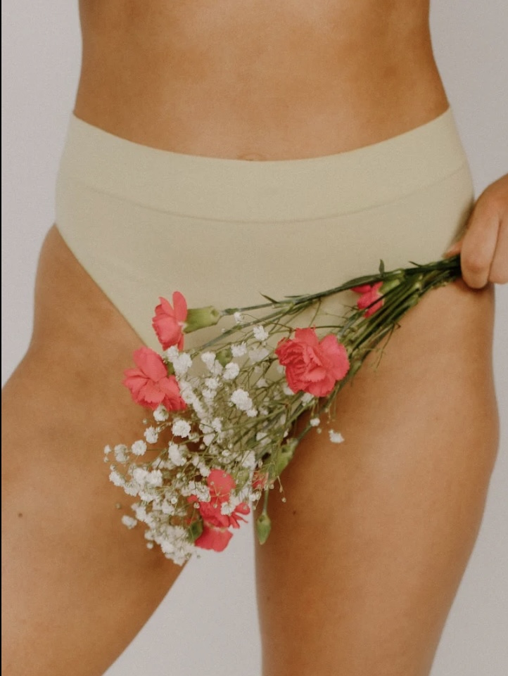 Bikini Full (V)
