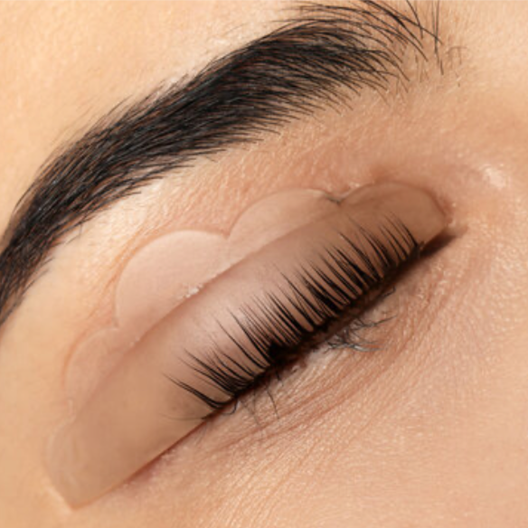 Lash Lift and Tint at Blush & Bell in Goochland, VA