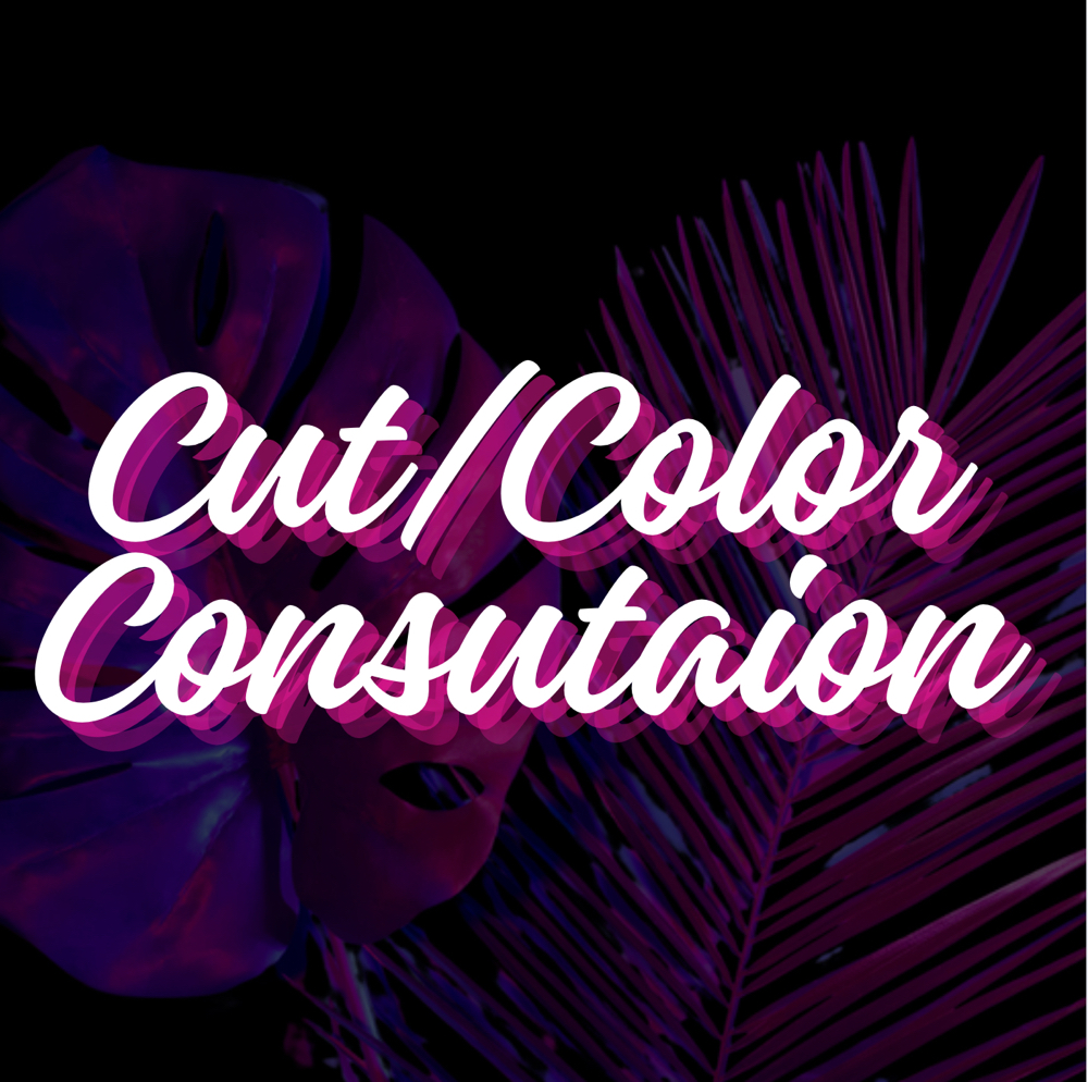 Cut / Color Consultation