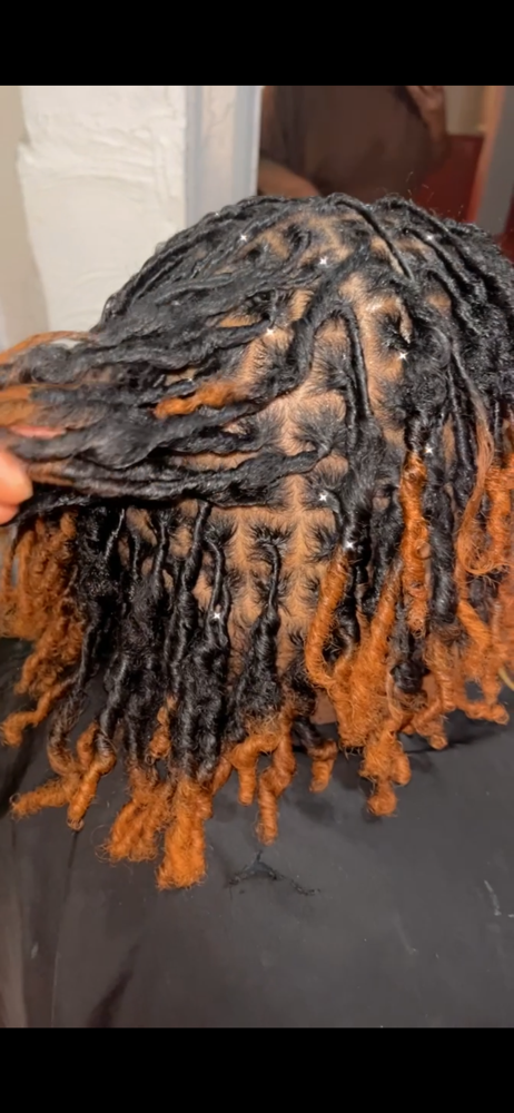 STARTER LOCS